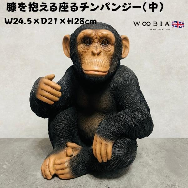 置物 動物 チンパンジー 高さ28cm おしゃれ 大きい 玄関 インテリア 庭 ガーデン かわいい オブジェ 北欧 リアル 面白い