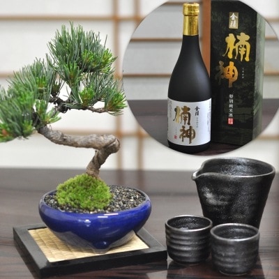 盆栽と日本酒と酒器のセット 樹齢7年 松盆栽 五葉松 と盆栽の里香川の地酒 金陵 ギフト 贈り物 プレゼント 父の日　敬老の日 お誕生日 盆栽妙 15,666円