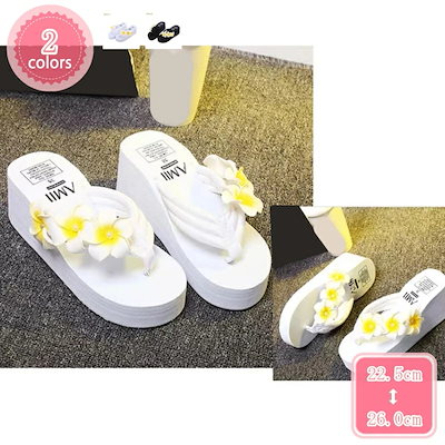 Daringer / Baker's Dozen CD付き 【公式通販】