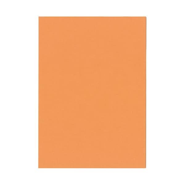 北越コーポレーション 紀州の色上質A3Y目 薄口 アマリリス 1冊（500枚）