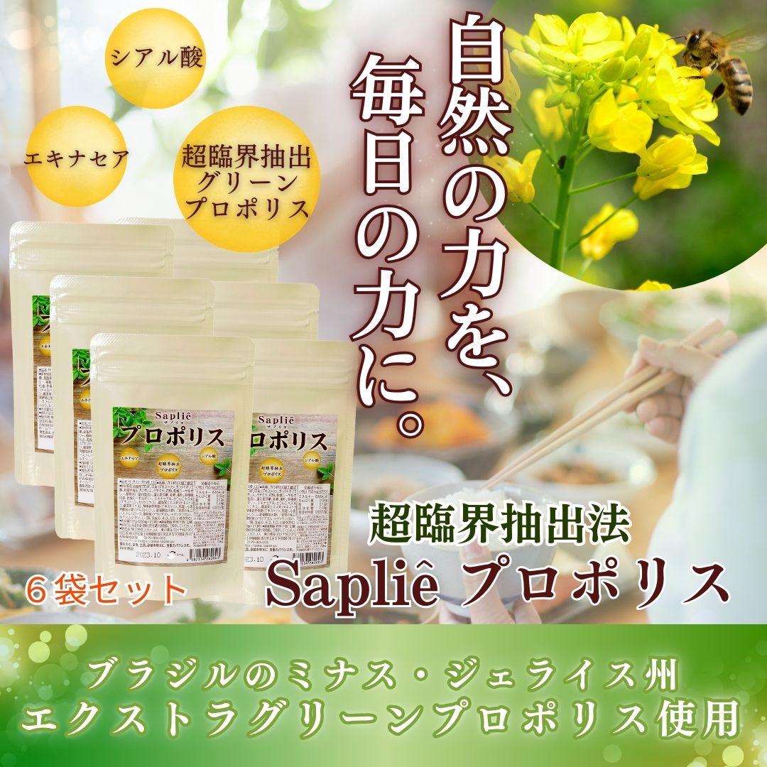 【６袋セット】　毎日の健康対策に「サプリエ プロポリス 210粒×6袋」