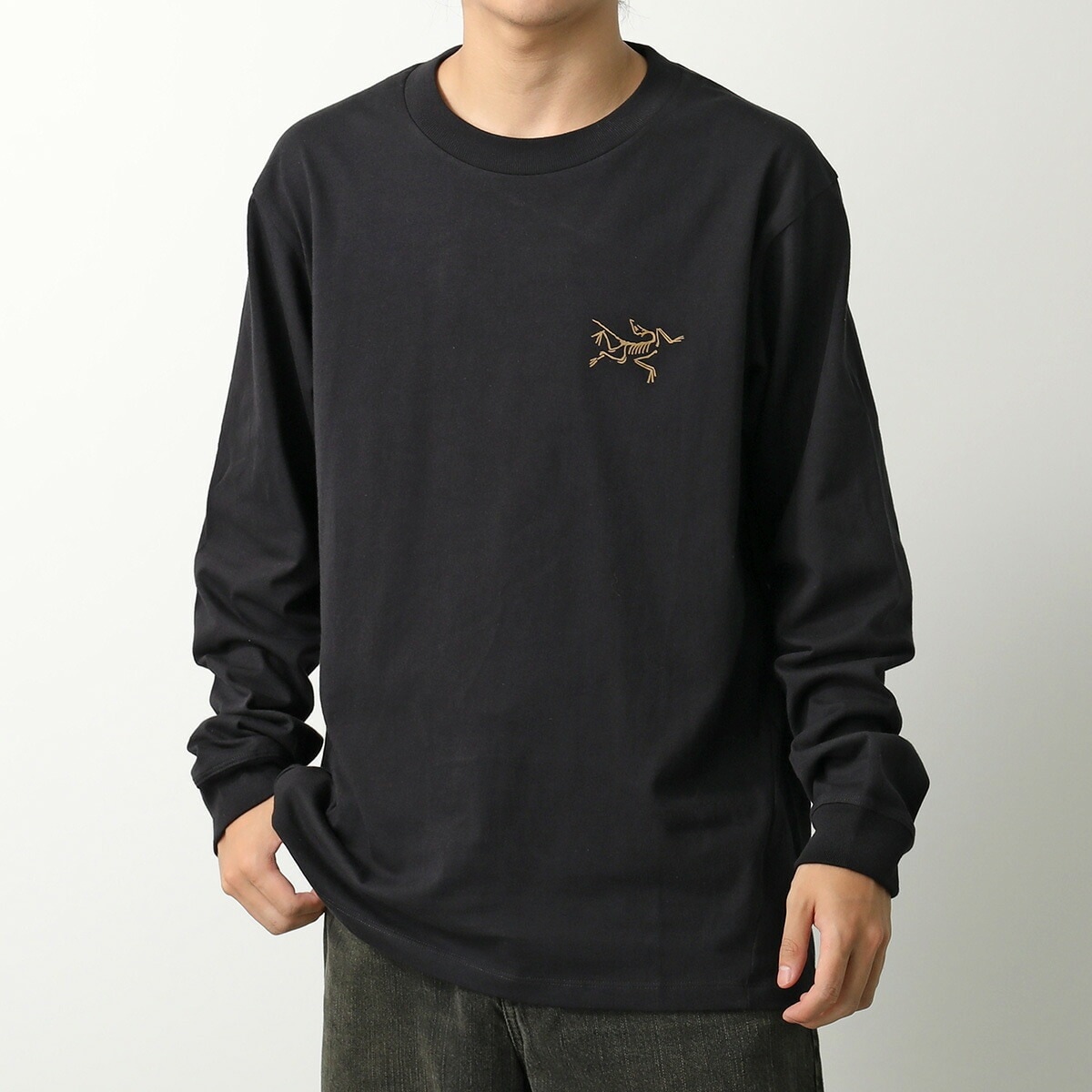ARCTERYX アークテリクス Tシャツ KRAGG COTTON LS クラッグ コットン ロングスリーブ X000009714 メンズ 長袖 カットソー ロンT 24K-BLACK
