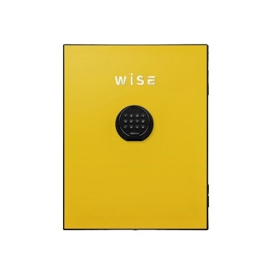 ディプロマット デジタルテンキー式 デザイン 金庫 (WiSE) 用フェイスパネル 内容量5Kg WS500FPY イエロー 11,154円