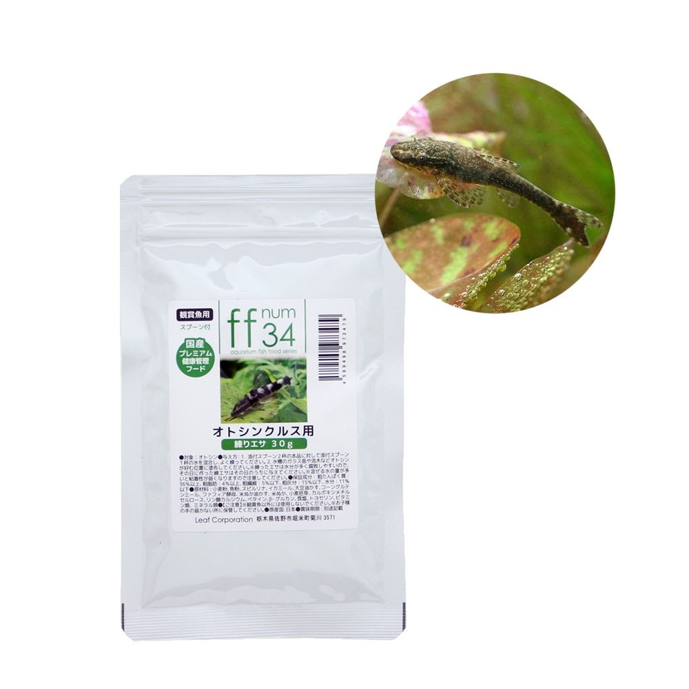 （熱帯魚）オトシンネグロ（ワイルド）（６匹）＋ｆｆ　ｎｕｍ３４　オトシンクルス用　練りエサ　３０ｇ　プレミアム健康管理フード　本州四国限定　ＣＲＣ13―40―10―00―00