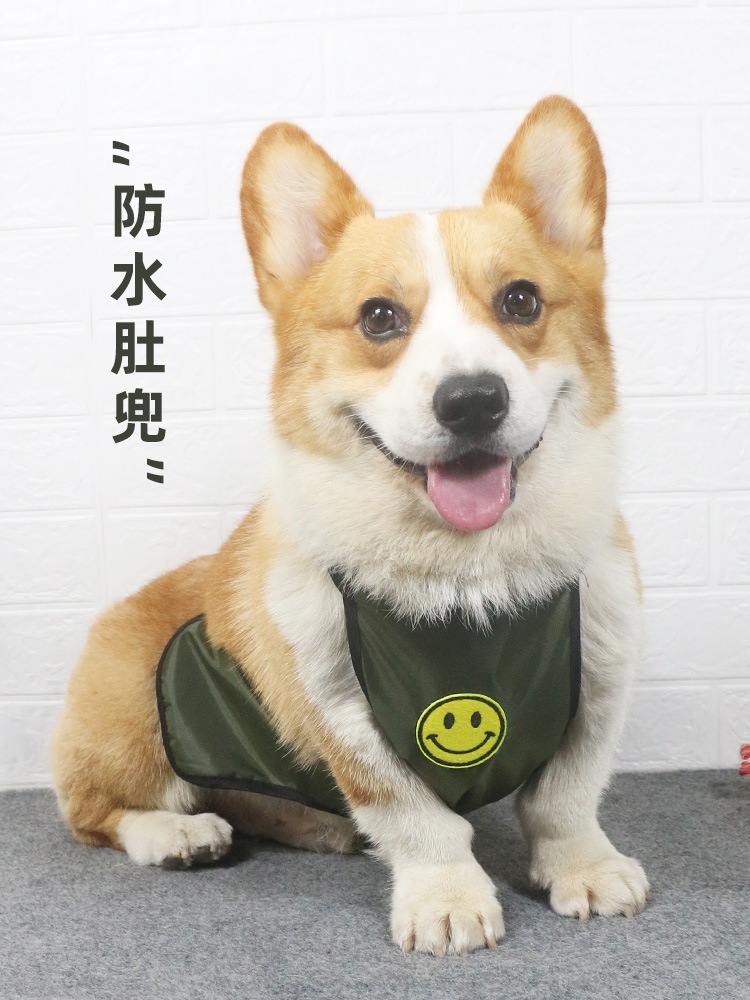 【格安SALEスタート】 犬のコーギ防水涼しい腹を保護するペットのレインコート薄い夏服の周りの中小型犬 ウェア