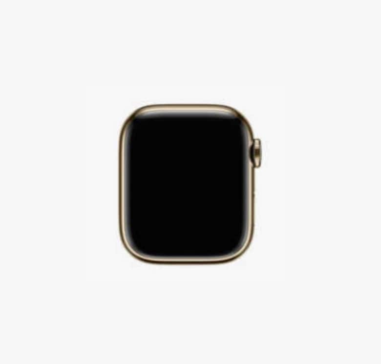 【超美品・本体のみ（バンドなし）】Apple Watch9 41mm GPS+Cellularモデル ゴールド