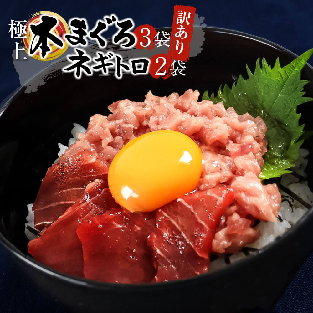 大熊産直 訳あり 本まぐろ100g×3袋 ねぎとろ70g×2袋 海鮮 切り落とし 赤身 鮪 高級 本マグロ 中トロ 大トロ 不揃い 海鮮丼 ネギトロ丼 刺身 冷凍便 ヤマト発送