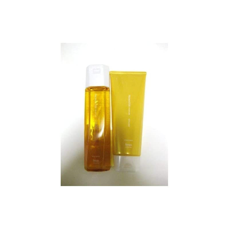 hoyu(ホーユー) プロマスター カラーケア シャンプー 200ml トリートメント 200g スタイリッシュライン セット