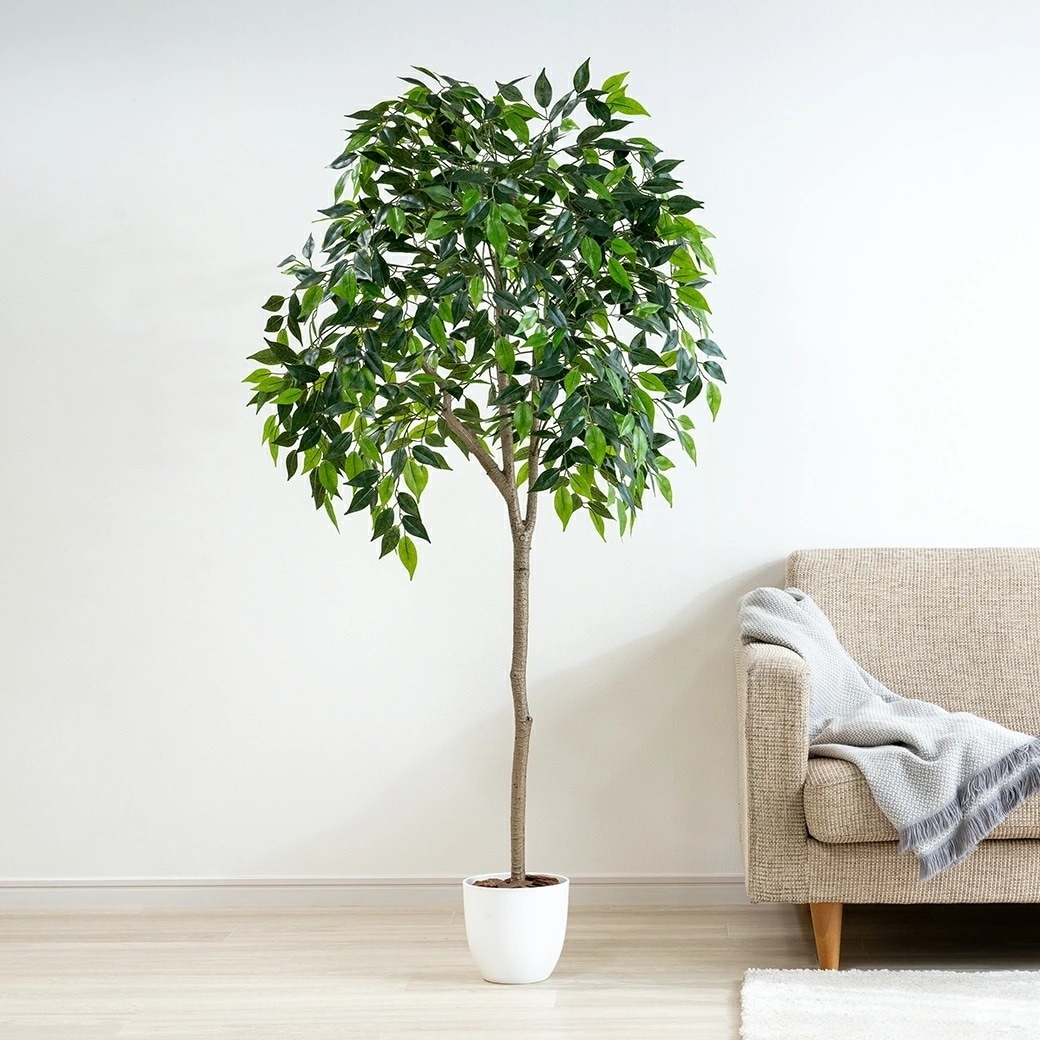 人工観葉植物 ベンジャミン 光触媒 フェイクグリーン 大型 150cm インテリアグリーン お手入れ不要 オフィス リビング 消臭 抗菌 組み立て式