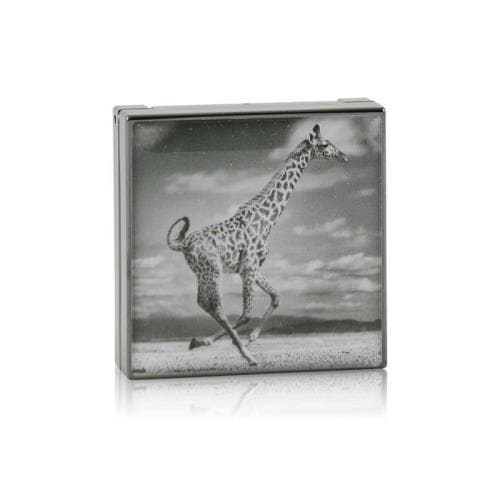 ルミネッセント アイシェード - # giraffe (バーンニッシュ ブラウン) 2.5g