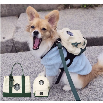 【限定品】韓国スターバックスの子犬 バッグ ハー...のサムネイル