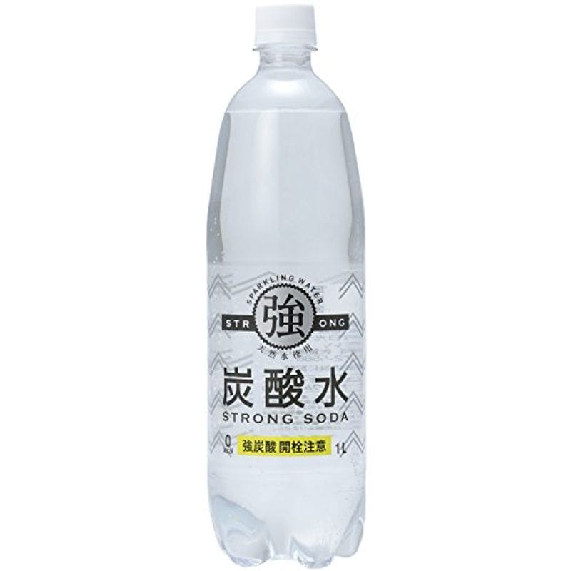 人気新品 強炭酸水 1000ml15本 国内名水 - flaviogimenis.com.br