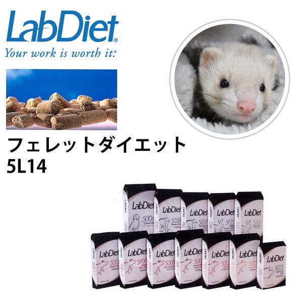 最大の割引 フェレット 15kg フード フェレットダイエット ラボダイエット Labdiet ペレット 送料無料jps エサ ブリーダー 小動物 エサ Aegis Qa