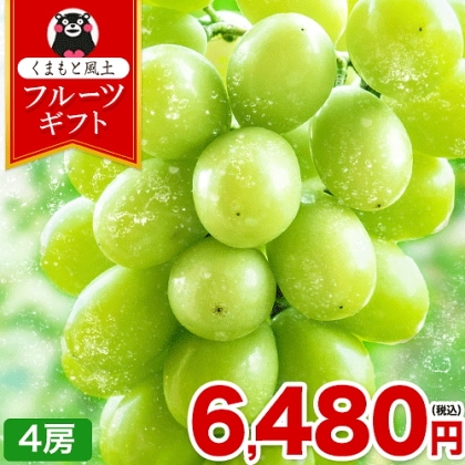 旬の味覚 九州産 シャインマスカット 約1.2kg 約300g×4房 ぶどう 皮ごと食べられる フルーツ ギフト 贈答用 クール便 【出荷時期に記載の日程でお届け】