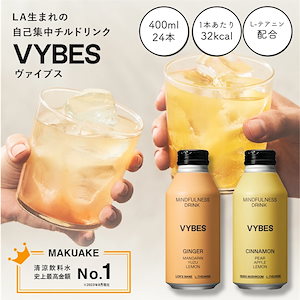 【今だけ48%OFF！】【公式】 VYBES マインドフルネスドリンク 24本 400ml チル リラクゼーション ストレスフリー カフェインレス エナジードリンク TIGRIS ティグリス