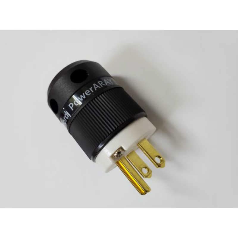 CHORD　ノイズポンププラグ 3P　PowerARAY-3P