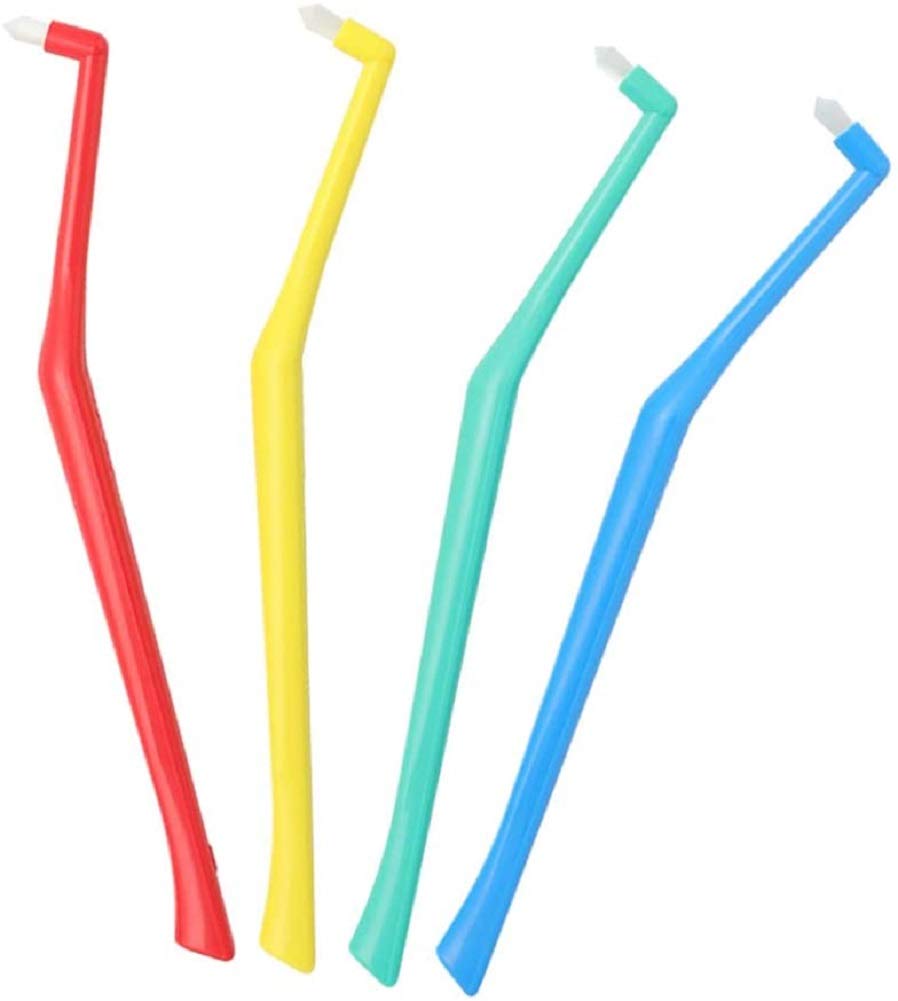 Australian Seafood Handbook,(英語) ハードカバー A Handbook to Australian Seashells: On Seashores East to