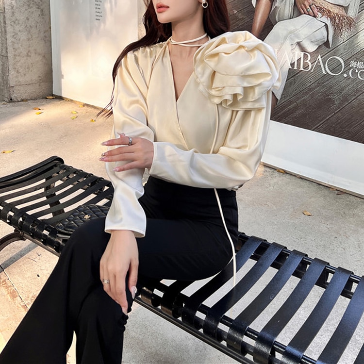 トップス 長袖 スリーブデザイン Vネック ブラウス OHCA0004