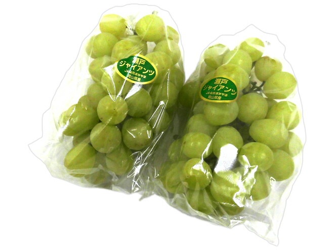 岡山産 =瀬戸ジャイアンツ= 訳あり 2房 約1kg ぶどう[M1] 予約 8月以降