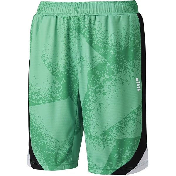 GOSEN ゴーセン ハーフパンツ テニス ゲームパンツ PP2400-48