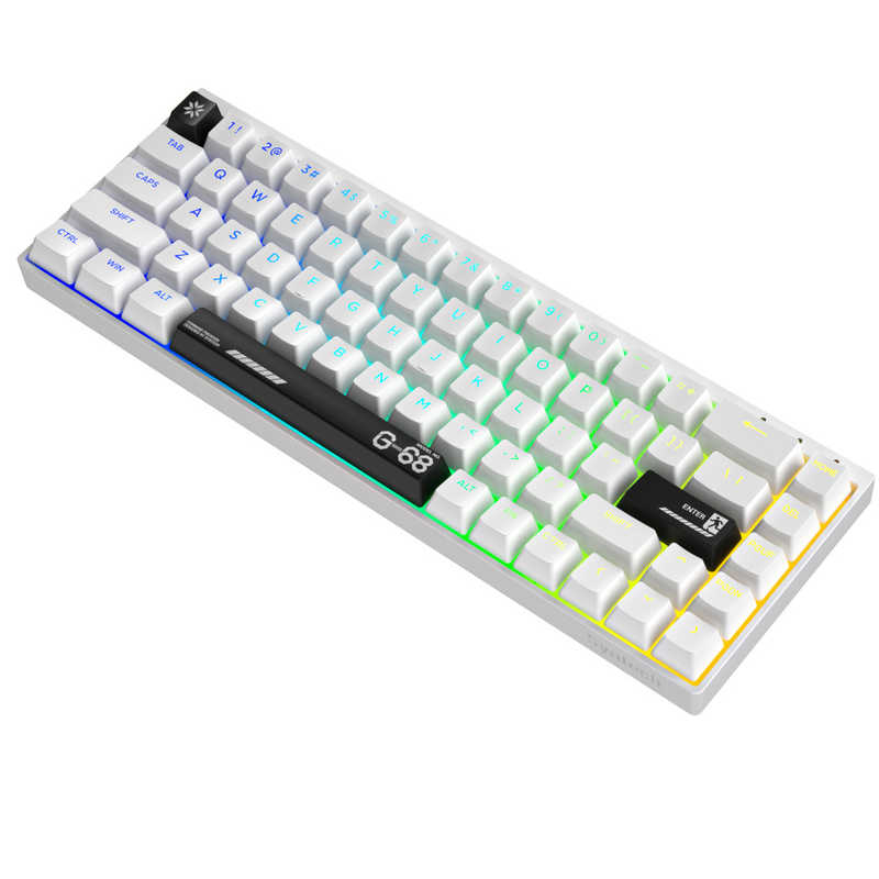 SYNTECH　ゲーミングキーボード ( ラピッドトリガー対応 ) ホワイト/ブラック　G68HE-WB 16,188円