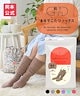 【24AW限定】シナモン