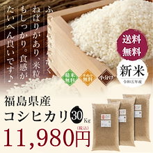 新米 令和５年産 福島県産　コシヒカリ 30Kg　米 お米