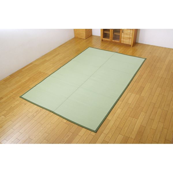 洗える PPカーペット/ラグマット (江戸間6畳 約261cm×352cm) 日本製 防カビ 防ダニ アウトドア対応