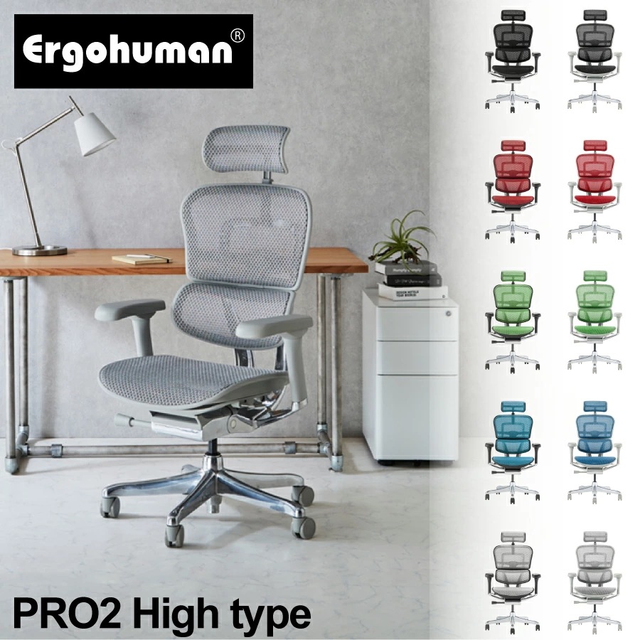 【5年保証】2025年新型 公式販売店 エルゴヒューマン2(ergohuman2) オフィスチェア ヘッドレスト プロハイタイプ ブラックフレーム グレーフレーム EHP2-HAM-DR