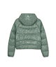 Ptn.Green