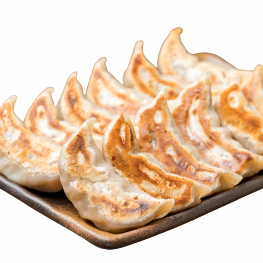 肉汁餃子 ダンダダン 冷凍生餃子 50個入×1箱 冷凍 ぎょうざ 餃子 ギョーザ つぶれない店 敬老の日