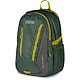 CARGO GREEN