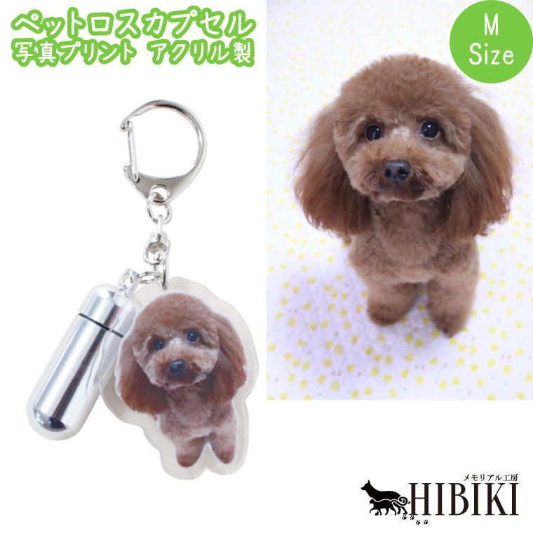 ペットロスカプセル メモリアル カプセル Mサイズ キーホルダー 写真プリント アクリル バッグチャーム ペット供養 ペット仏具 ペット仏壇 覆い袋 名札 命日 49日 彼岸 盆 犬 猫