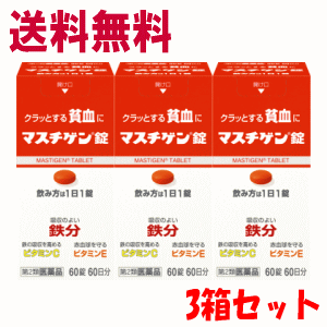 送料無料 3個セット【第2類医薬品】日本臓器製薬 マスチゲン錠 60錠入り×3個セット 貧血に 鉄剤 ビタミンE ビタミンC配合