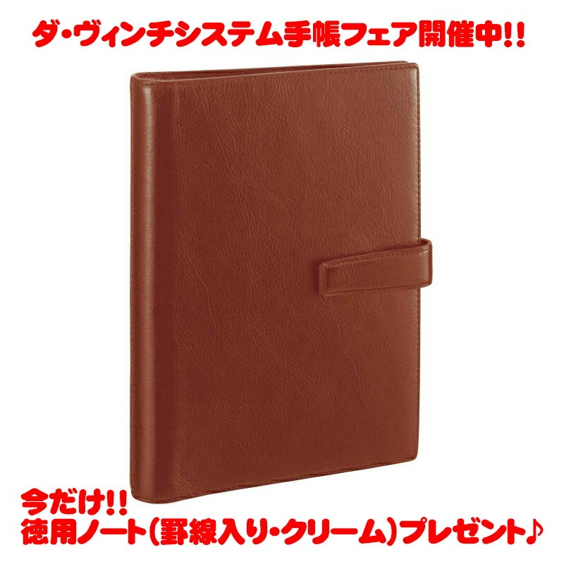 【ラッピング無料】【名入れ可(有償)】 レイメイ藤井 Raymay ダヴィンチ ダヴィンチ ブラウン A5 システム手帳 リング20mm DSA3002C ビジネス スタンダード スーパーロイスレザ