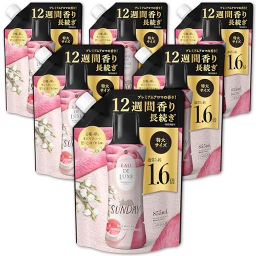 レノア オードリュクス 香り付け専用ビーズ マインドフルネスシリーズ サンデー 詰め替え 855ML×6袋 [ケース品]