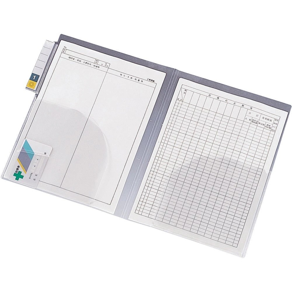 代引不可/（まとめ）ハクバ写真産業 フォトシステムファイル ブルー520712〔×20セット〕/代引不可 アルバム フォトシステムファイル 替台紙 L（Lサイズ120枚収納 10