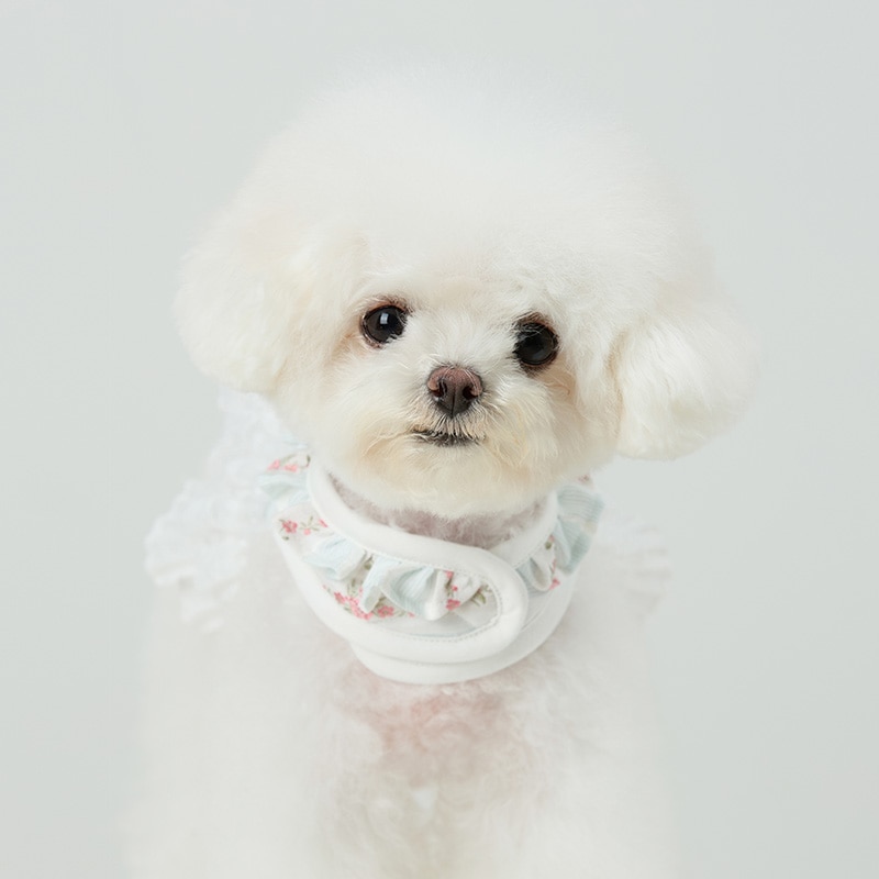 エリーロゼ 犬用ワンピースハーネス(ver.tfp) 韓国製 チチアンドコー 正規品 可愛い フローラル刺繍 フリル ホワイト 上品 プレミアム