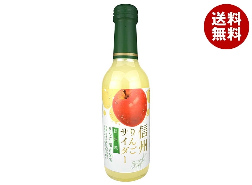 木村飲料 信州りんごサイダー 240ml瓶×20本入×(2ケース)