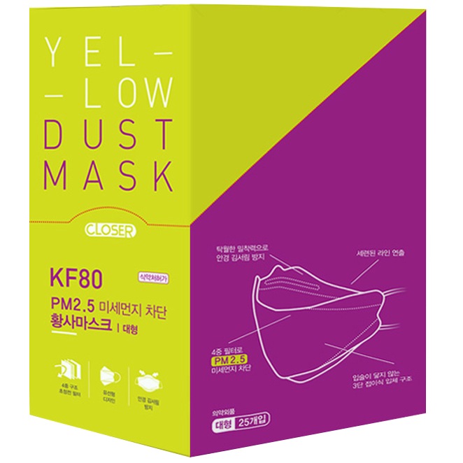 （TF018）エバーグリーン閉鎖黄砂マスク大型KF80（25枚入）/韓国配送