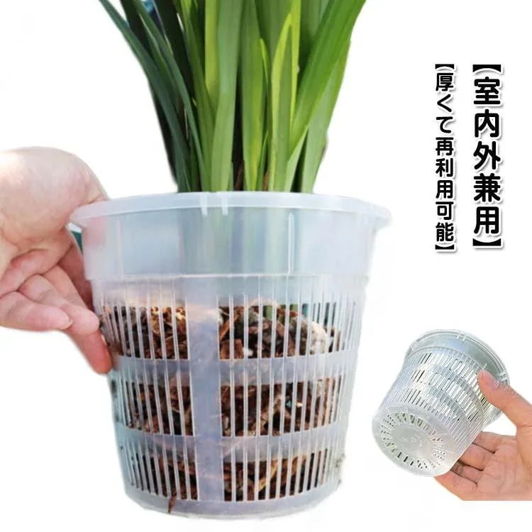多肉植物 直径11cm 蘭の鉢 セットプラスチック 直径14cm 洋蘭 屋内 セットプラスチック 直径16cm オーキッドポット 胡蝶蘭