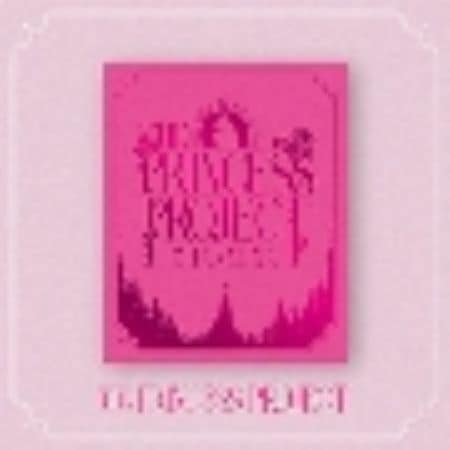 オンラインショップ ちゃんみな THE PRINCESS PROJECT 初回生産限定盤 DVD 新品未開封 J-POP