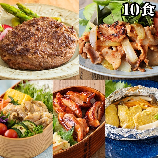 宮崎県産 黒毛和牛 宮崎県産「お肉の贅沢グルメセット」10食 ハンバーグ 生姜焼き 照り焼き 西京焼き