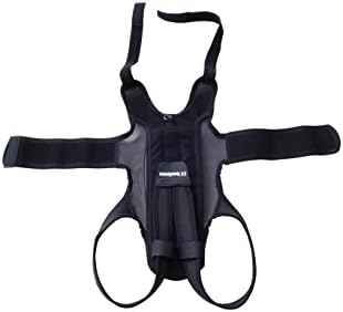 アニフル (anifull) わんコル その他 ブラック 犬 M サイズ