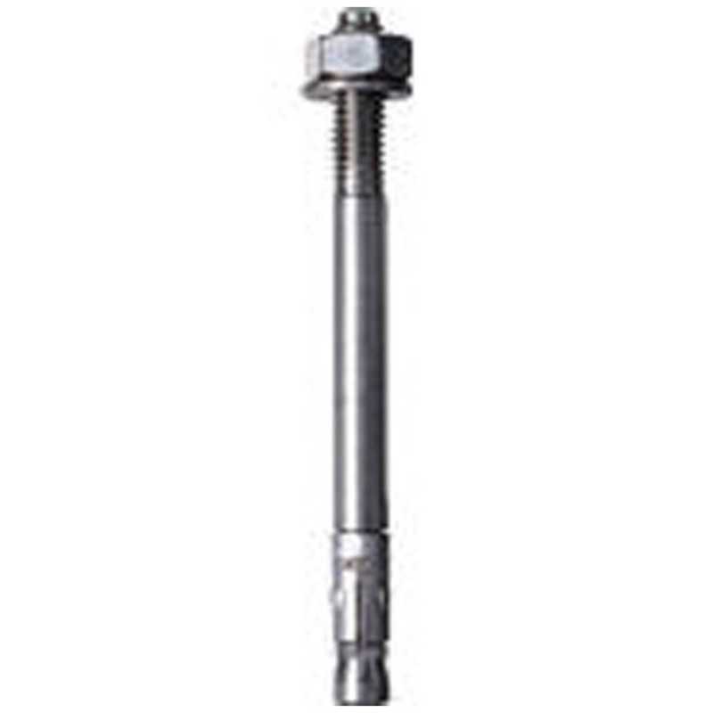 フィッシャージャパン　ボルトアンカー FAZ2 8/10 C4 10本入り　501428