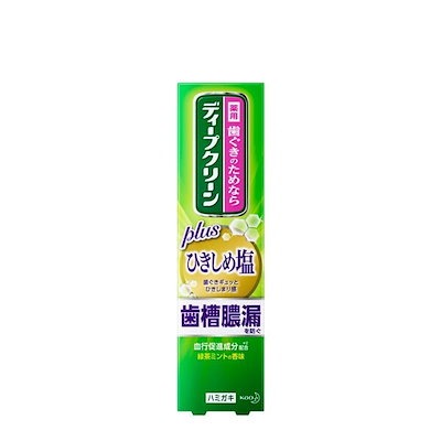 他サイト： ディープクリーン 薬用ハミガキ ひきしめ塩100gの商品画像