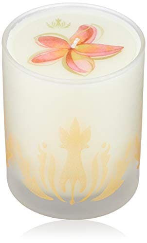 Malie Organics(マリエオーガニクス) ソイキャンドル プルメリア 240g