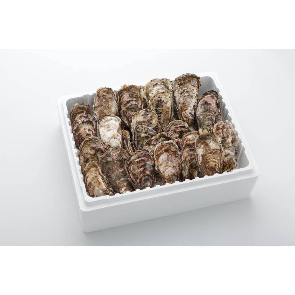 アミスイ 殻付牡蠣 3kg入 (18個から24個 広島牡蠣 殻付 広島 海産物