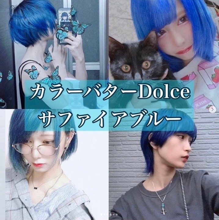 ｶﾗｰﾊﾞﾀｰﾄﾞﾙﾁｪｻﾌｧｲｱﾌﾞﾙｰ200g