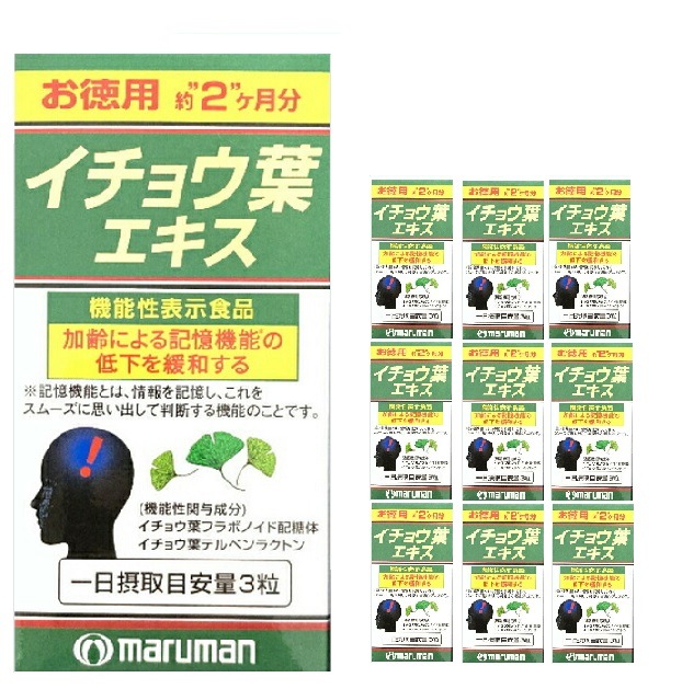【機能性表示食品】イチョウ葉エキス 2か月分 ２００粒入り 10個セット マルマン 記憶 DHA レシチン イチョウ イチョウ葉 サプリ 健康食品 軽減税率対象品